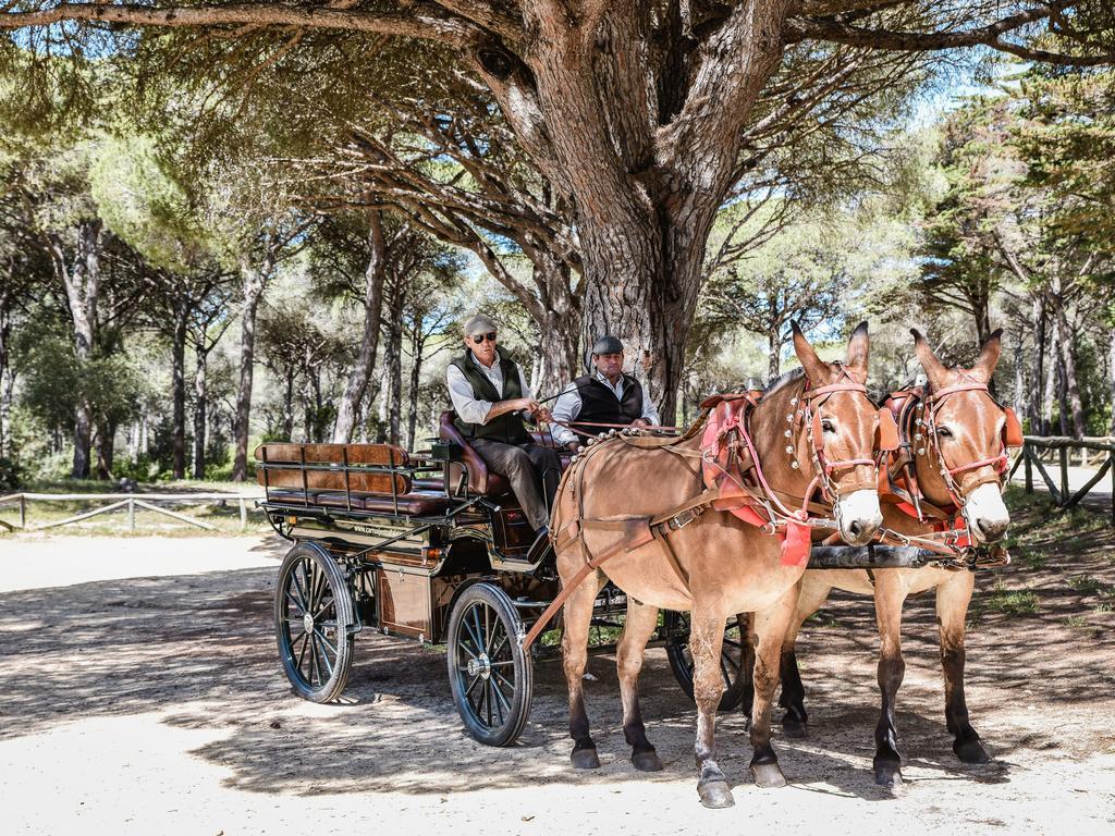 Casa Rural Aldea Chica Villa Los Canos De Meca Kültér fotó