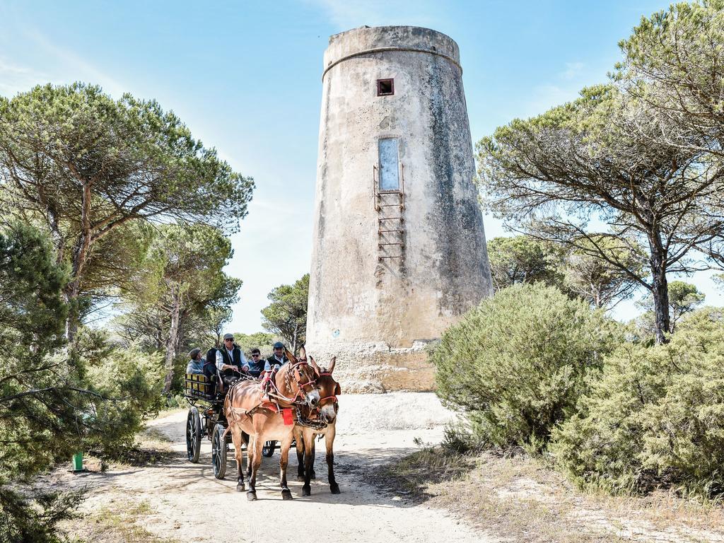 Casa Rural Aldea Chica Villa Los Canos De Meca Kültér fotó